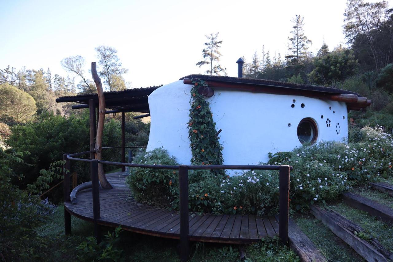 Half Moon Hollow Eco Cottage Mossel Bay Exterior foto
